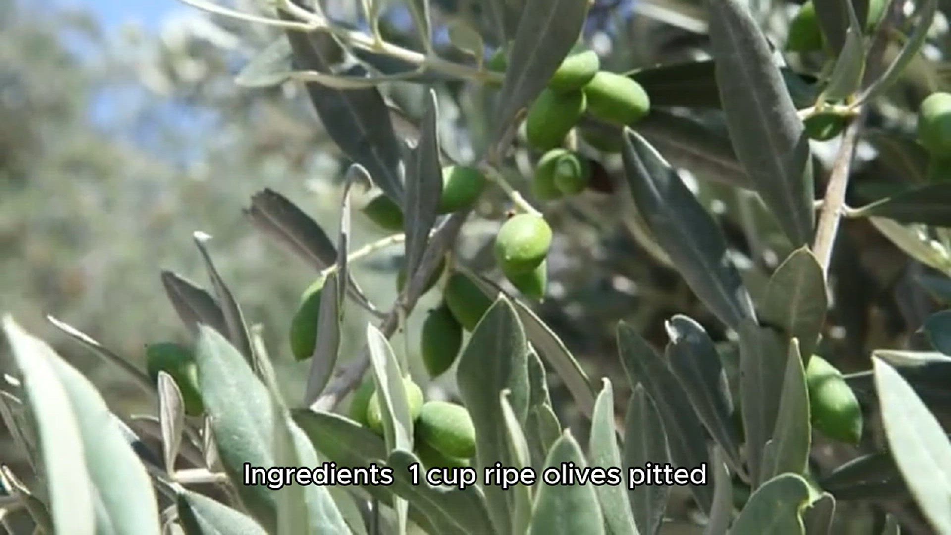 Video thumbnail for Appetizer recipe