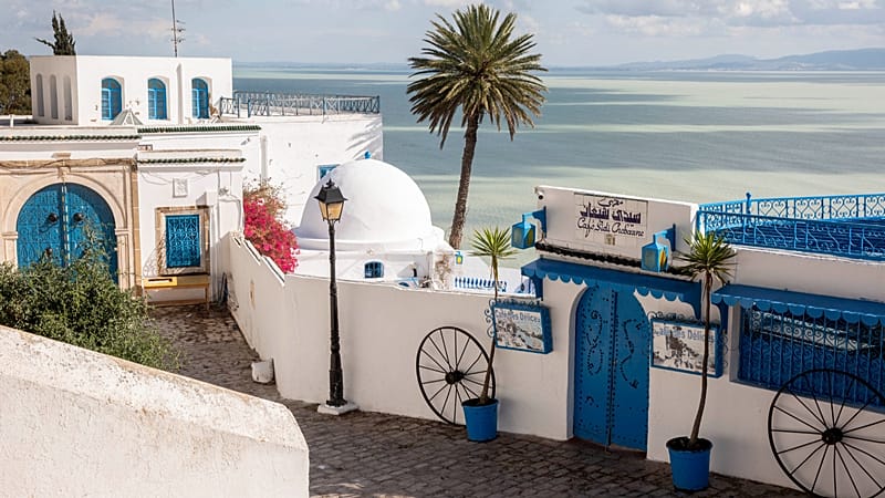 Video thumbnail for Tunisia: Sidi Bou Said residents welcome UNESCO inscription