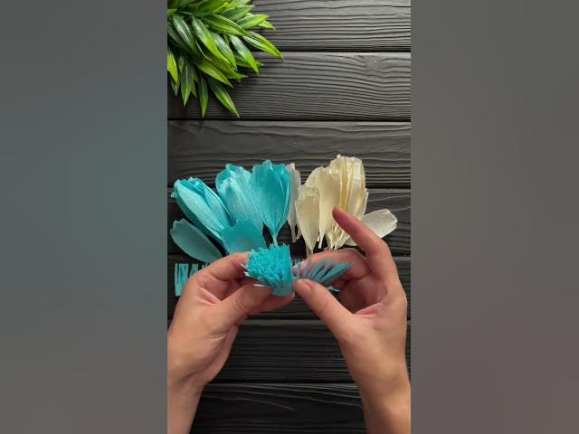 Video thumbnail for How to make flowers with crepe paper #shorts #youtubeshorts #short