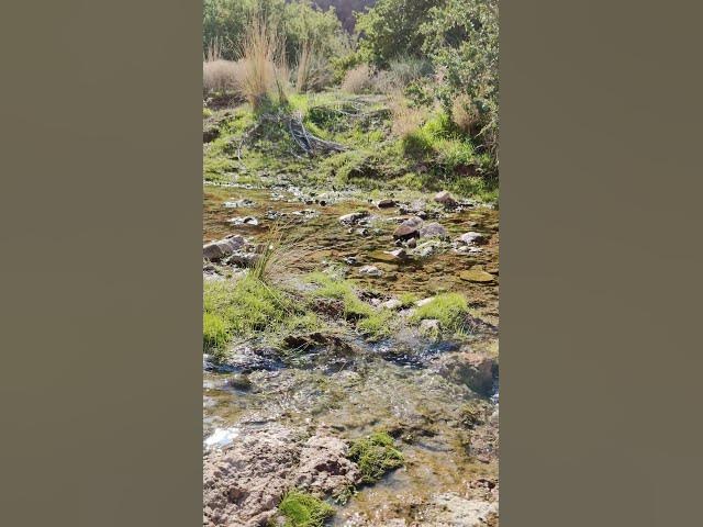 Video thumbnail for 29 ديسمبر 2022