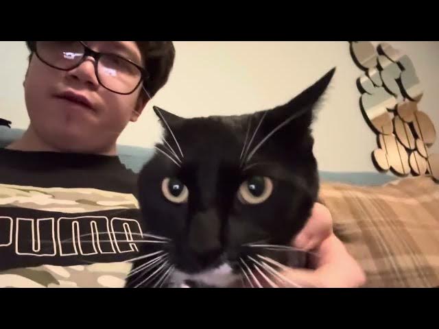 Video thumbnail for Freddie tells you his goal ❤️