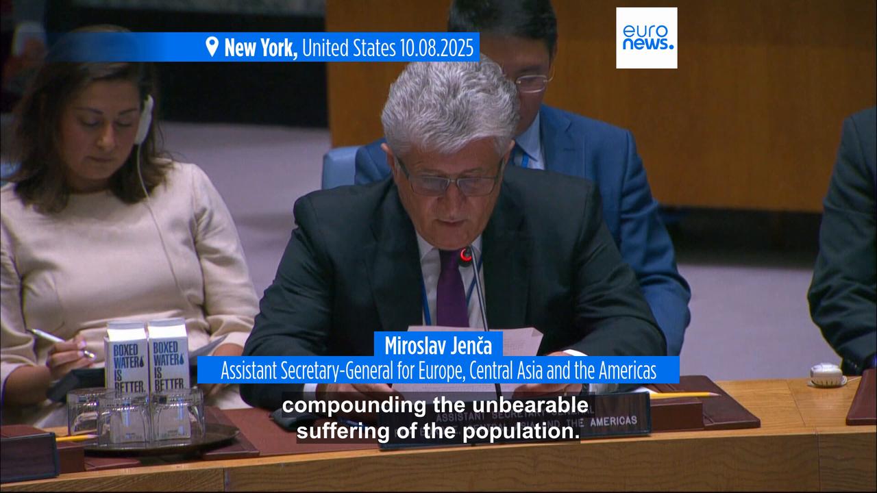 'Video thumbnail for UN Security Council ambassadors meet in emergency session on Gaza starvation crisis'
