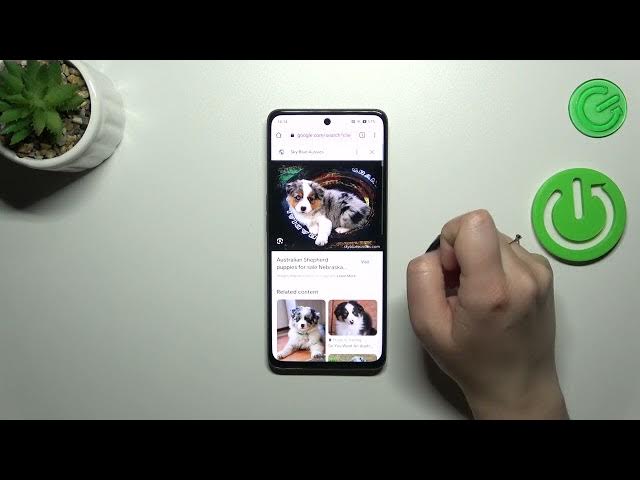 Video thumbnail for How to Delete Browse History on OPPO A98 - Clear Browser Data