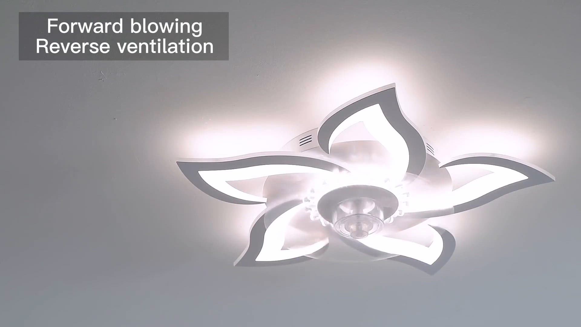 'Video thumbnail for Low Profile Ceiling Fan with Lights - Reversisble Blades'