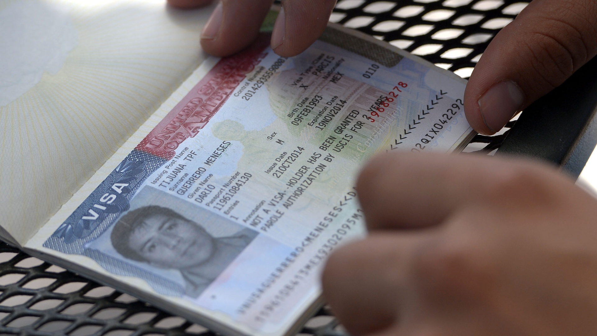 Video thumbnail for Trump review could pull visas from 200,000 asylum seekers