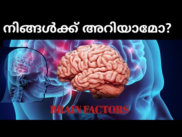 Video thumbnail for നിങ്ങൾക്ക് അറിയാമോ|Brain Factors