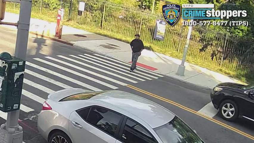 Video thumbnail for Dog wounded in Greenwood shooting; gunman on the run