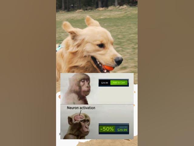 Video thumbnail for Discounts make all the difference