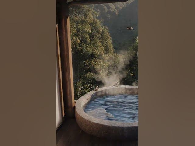 Video thumbnail for Mountain Ryokan Tiny Home: Japanese-Inspired Design with Onsen Bath & Views #mountains #zen #japan