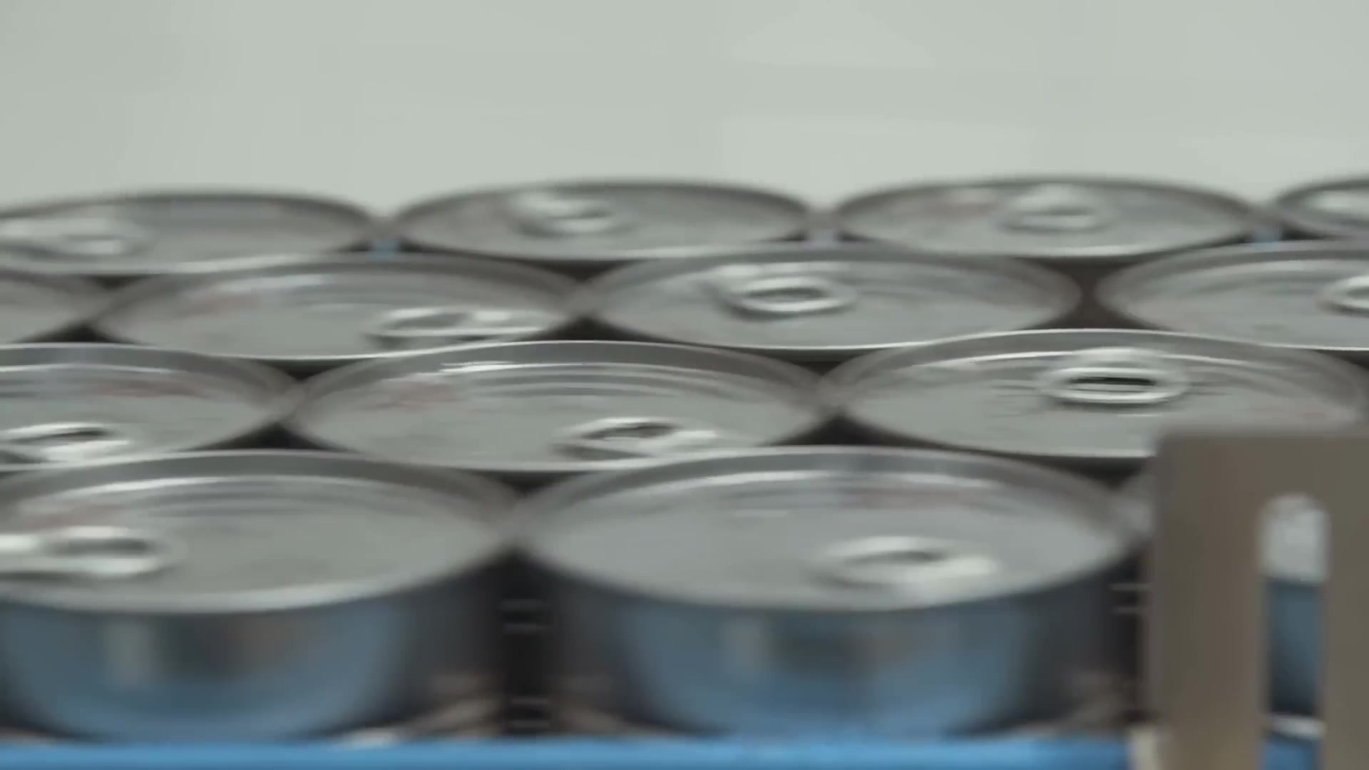 Video thumbnail for Major Red Flags To Look Out For When Buying Canned Foods