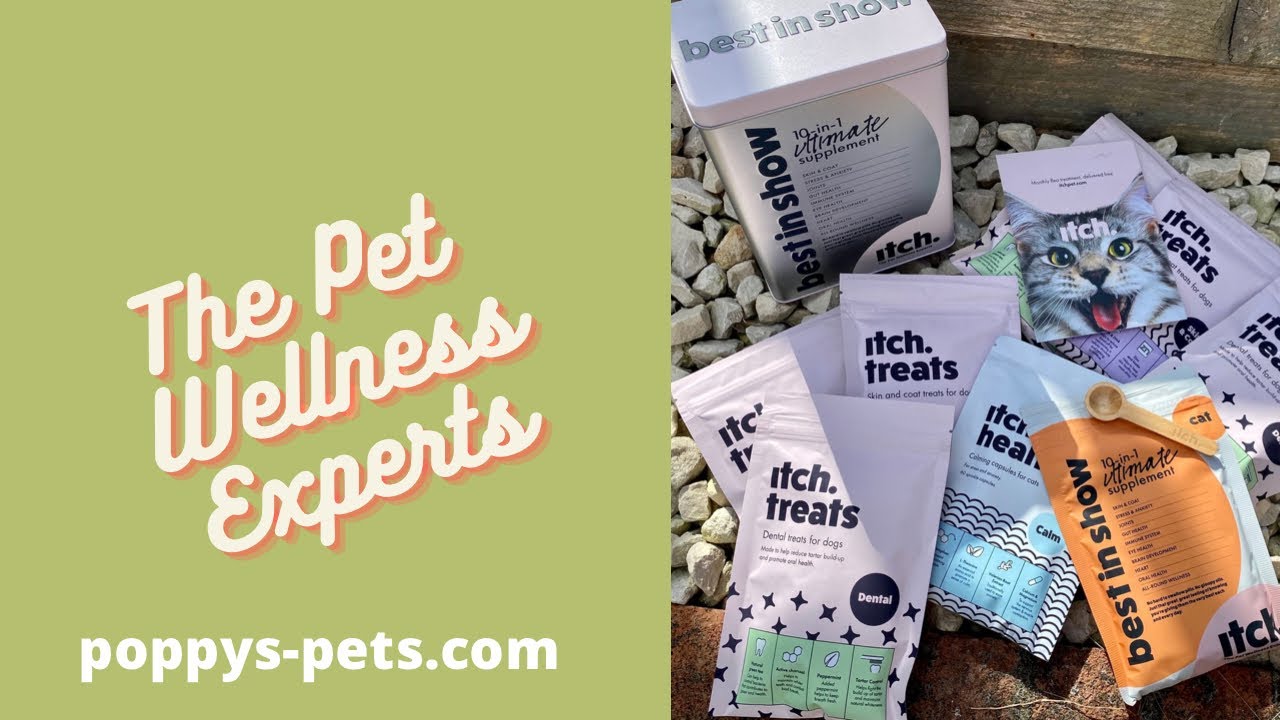 'Video thumbnail for ItchPet Wellness - Calm Your Cat and Grain-Free Goodies For Dogs: Yummy Treats for Sensitivities'