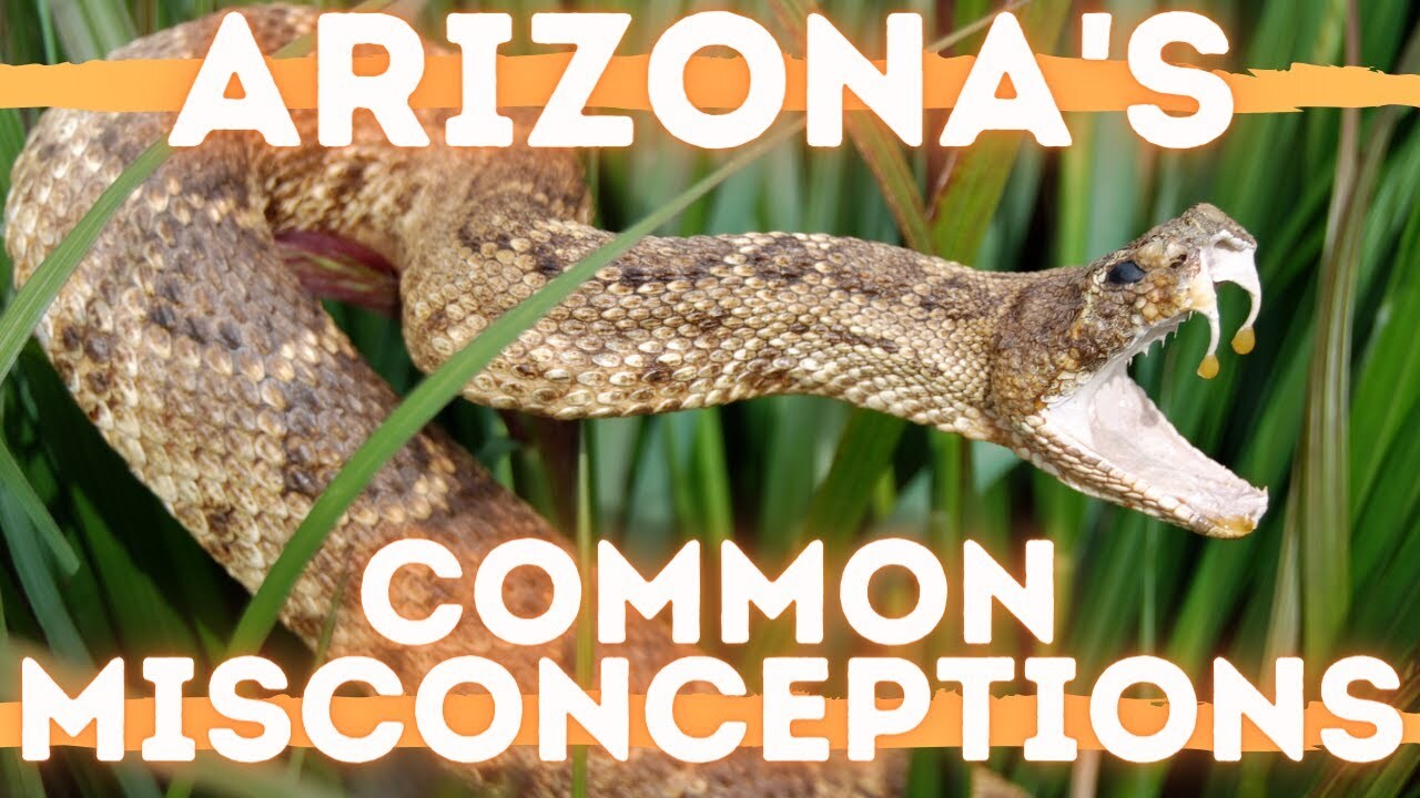 Video thumbnail for Misconceptions About Living in Arizona