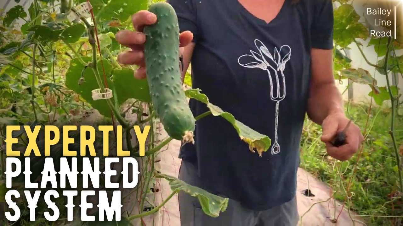 Video thumbnail for Unbelievable! How This Canadian Farm Grows YEAR-ROUND!