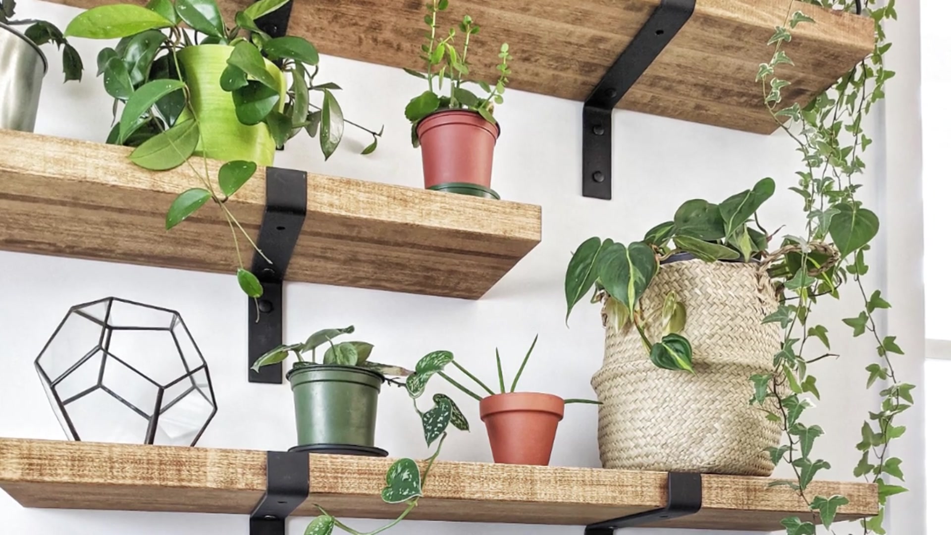Video thumbnail for Indoor Plant Shelf Ideas