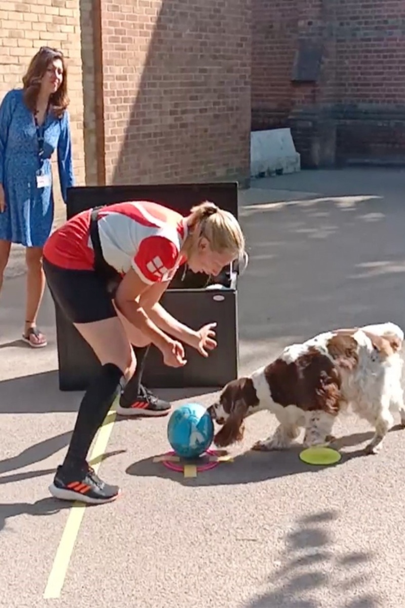 Video thumbnail for Most football (soccer) goals scored by a dog in 30 seconds - 5 by Olga Jones and Bonnie