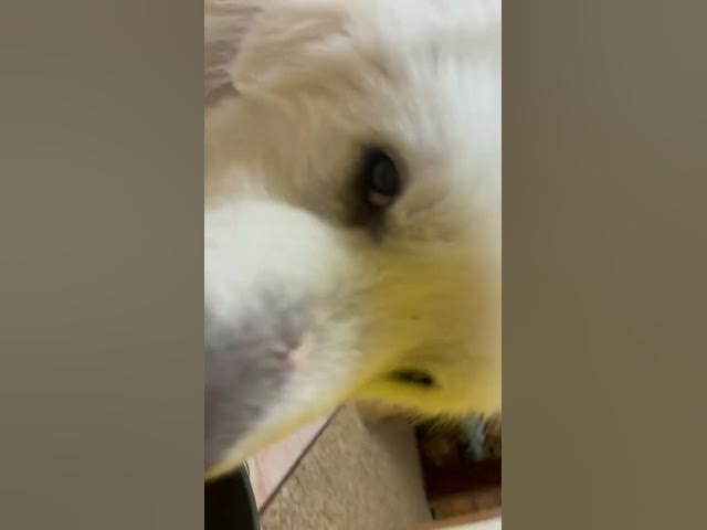 Video thumbnail for March 17, 2025