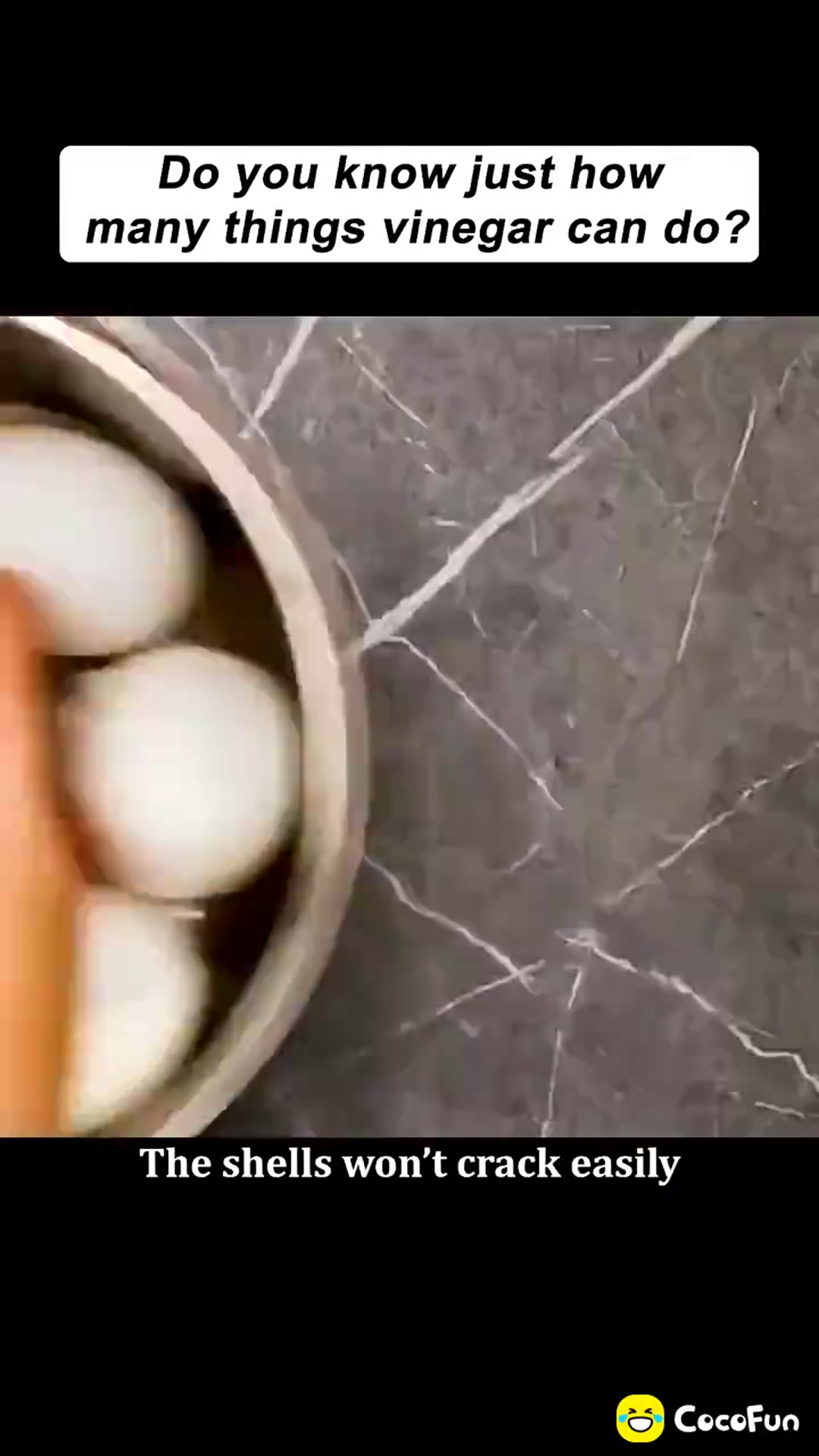 Video thumbnail for 1000000442