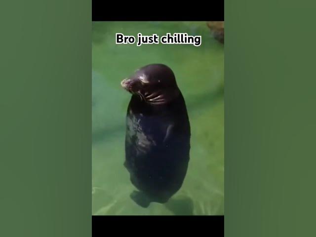 Video thumbnail for March 11, 2025