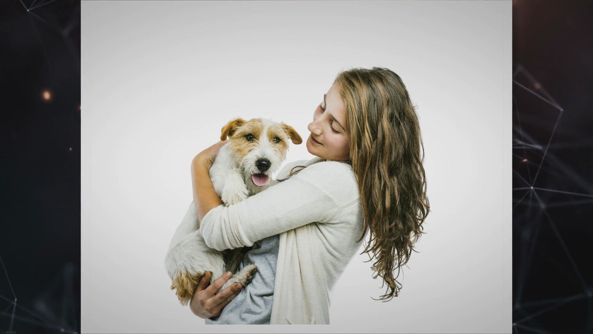 Video thumbnail for Understanding and Addressing Old Age Problems in Jack Russell Terriers