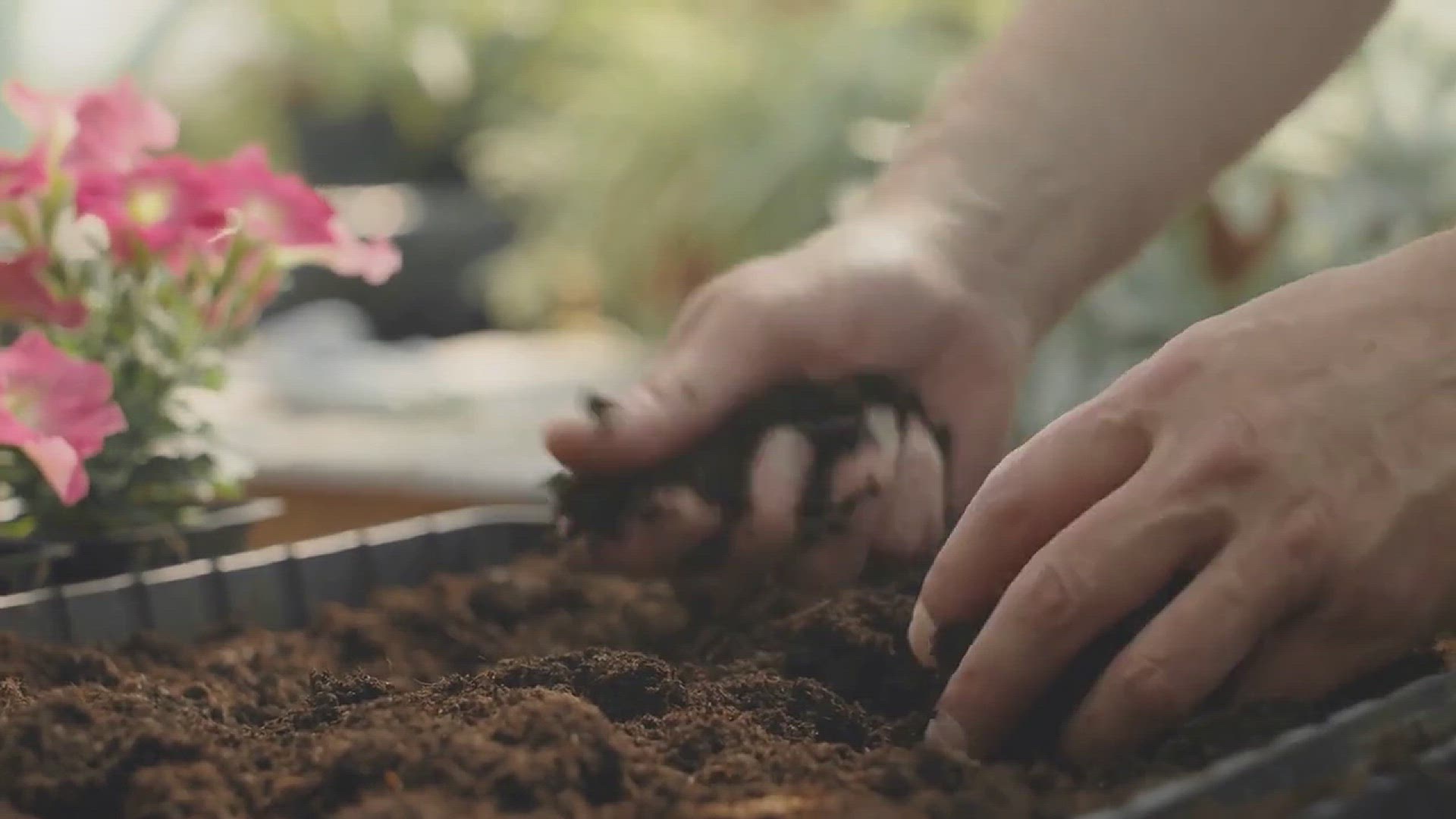'Video thumbnail for Common Soil Problems and Helpful Tips for Gardeners'