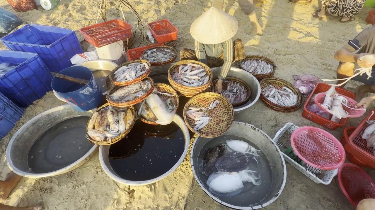 Video thumbnail for Vietnam: Traditional Tam Tien Fish Market comes alive at sunrise in Vietnam.