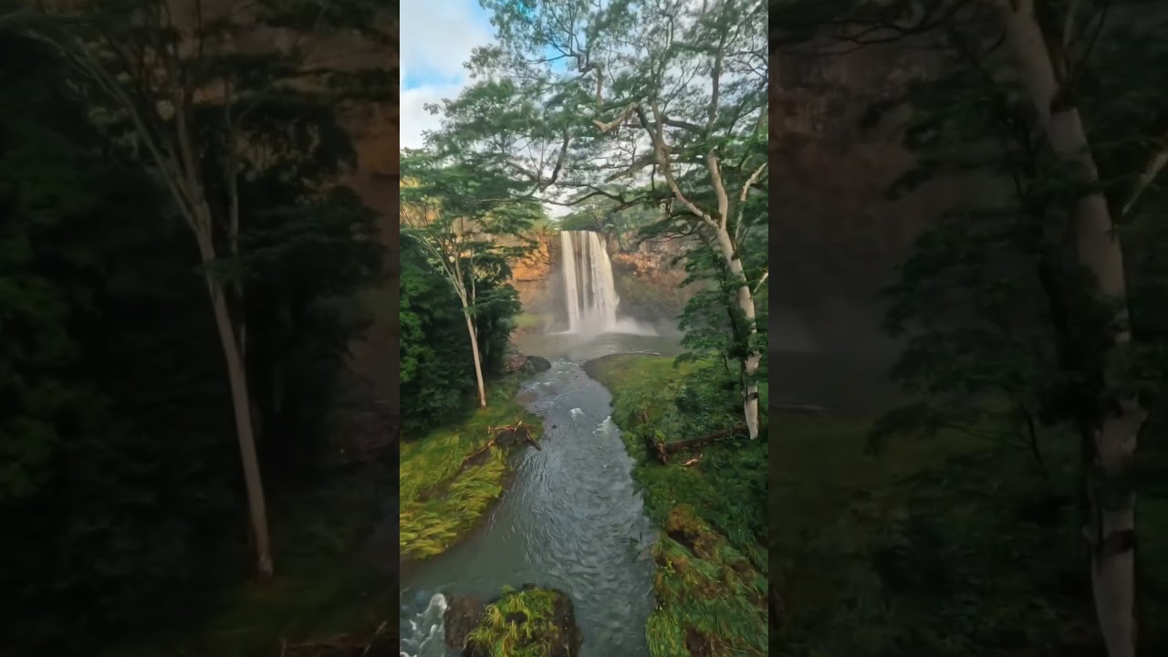 Video thumbnail for Welcome to the Jungle