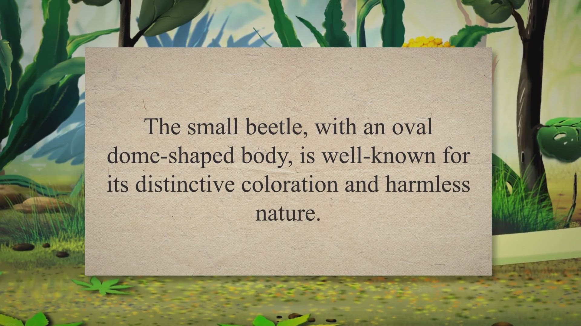 Video thumbnail for All About the Ladybug: Beetle of Our Lady