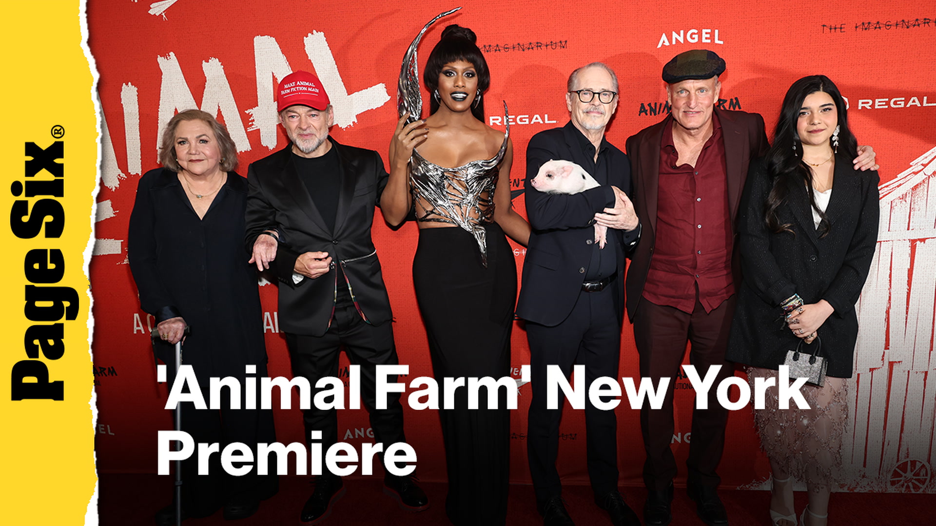 Video thumbnail for Woody Harrelson, Steve Buscemi and more attended the 'Animal Farm' premiere