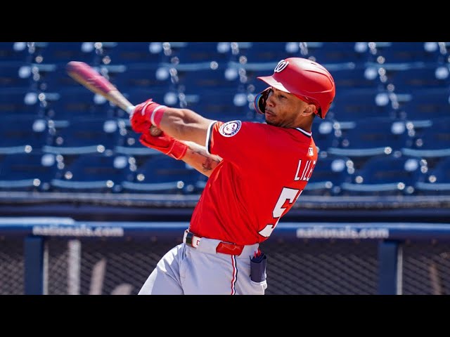 Video thumbnail for Daylen Lile 2024 Minor League Highlights!