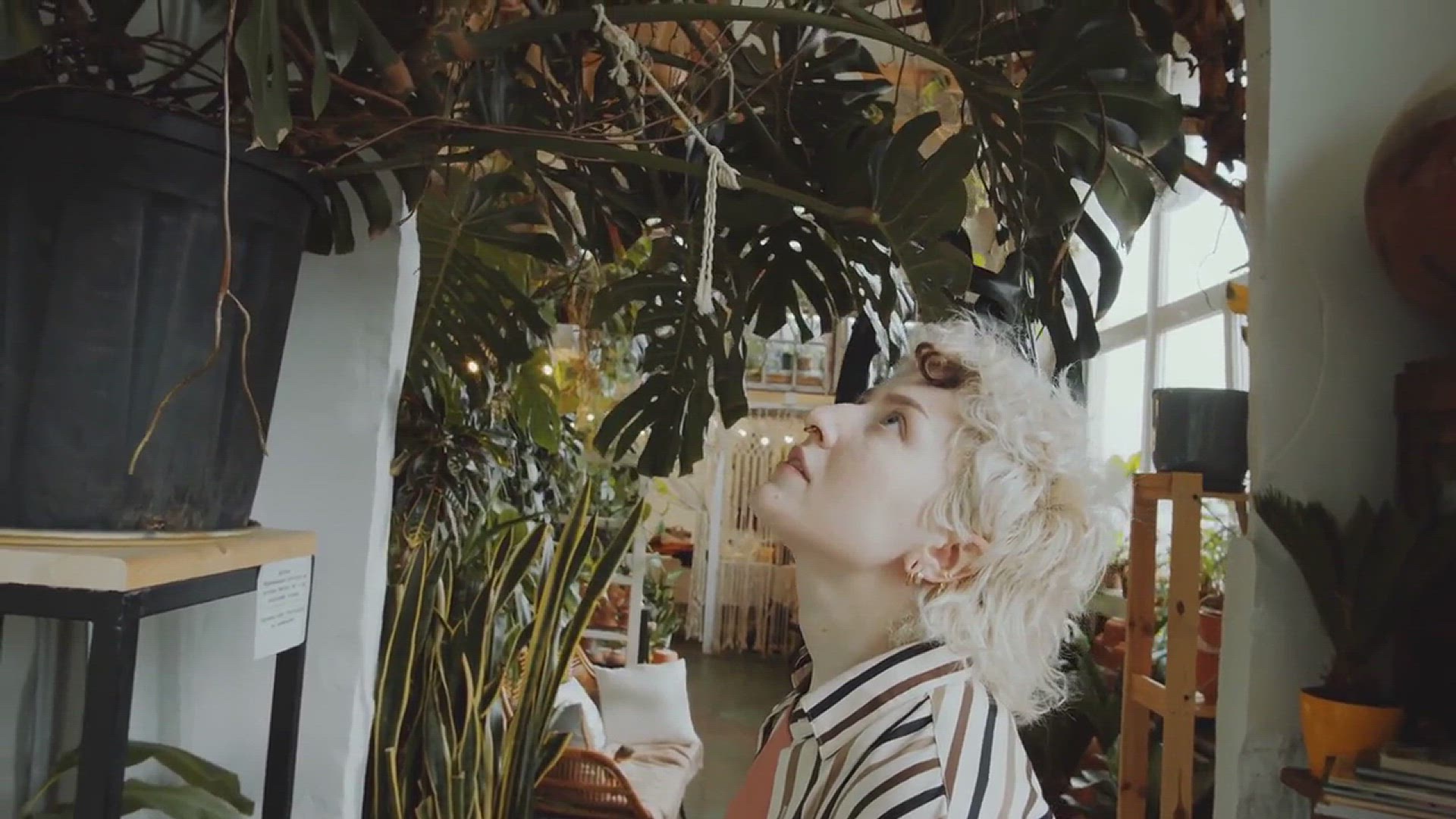 'Video thumbnail for Monstera Plant Garden Ideas'