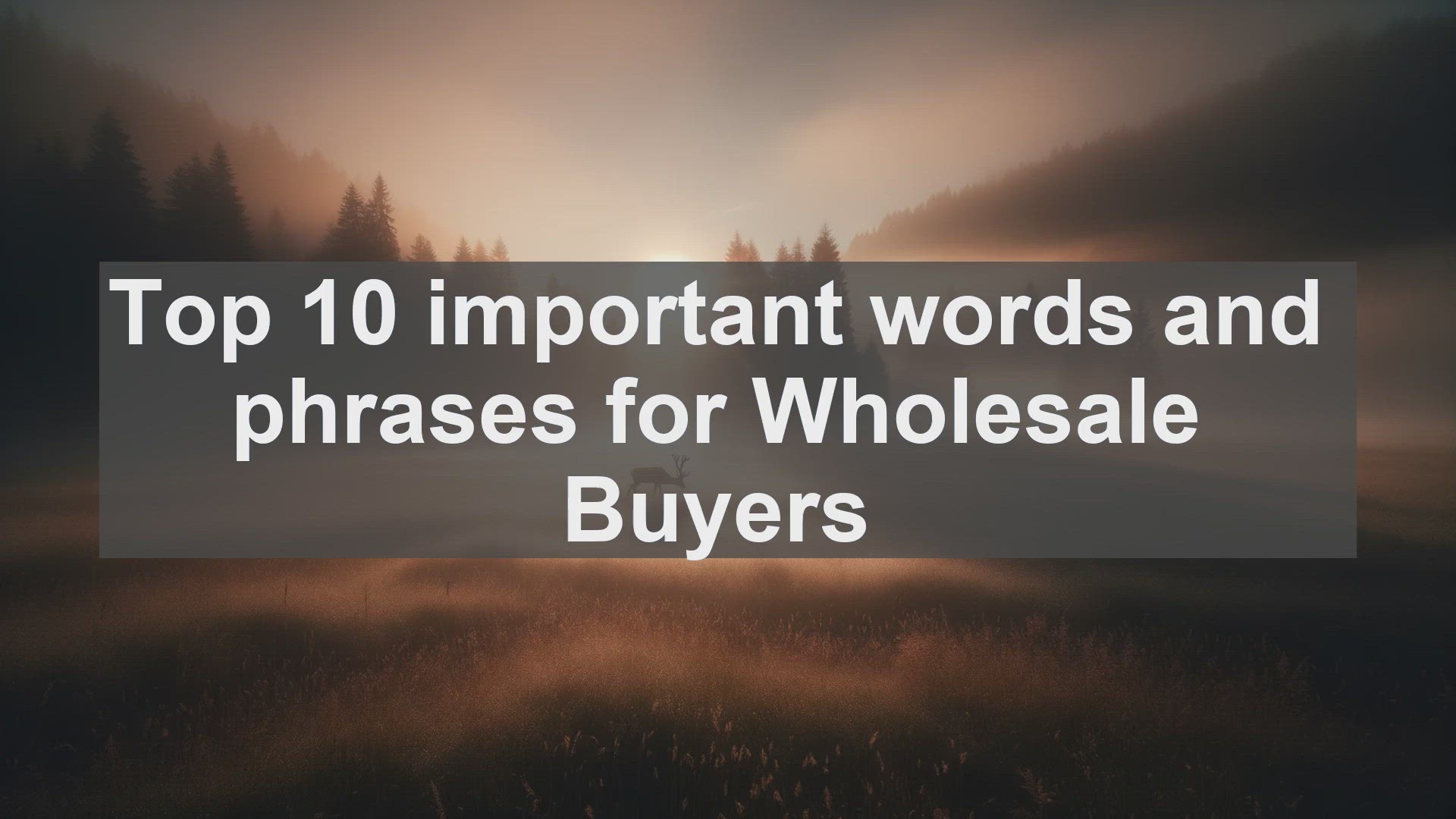 'Video thumbnail for Top 10 important words and phrases for Wholesale Buyers'