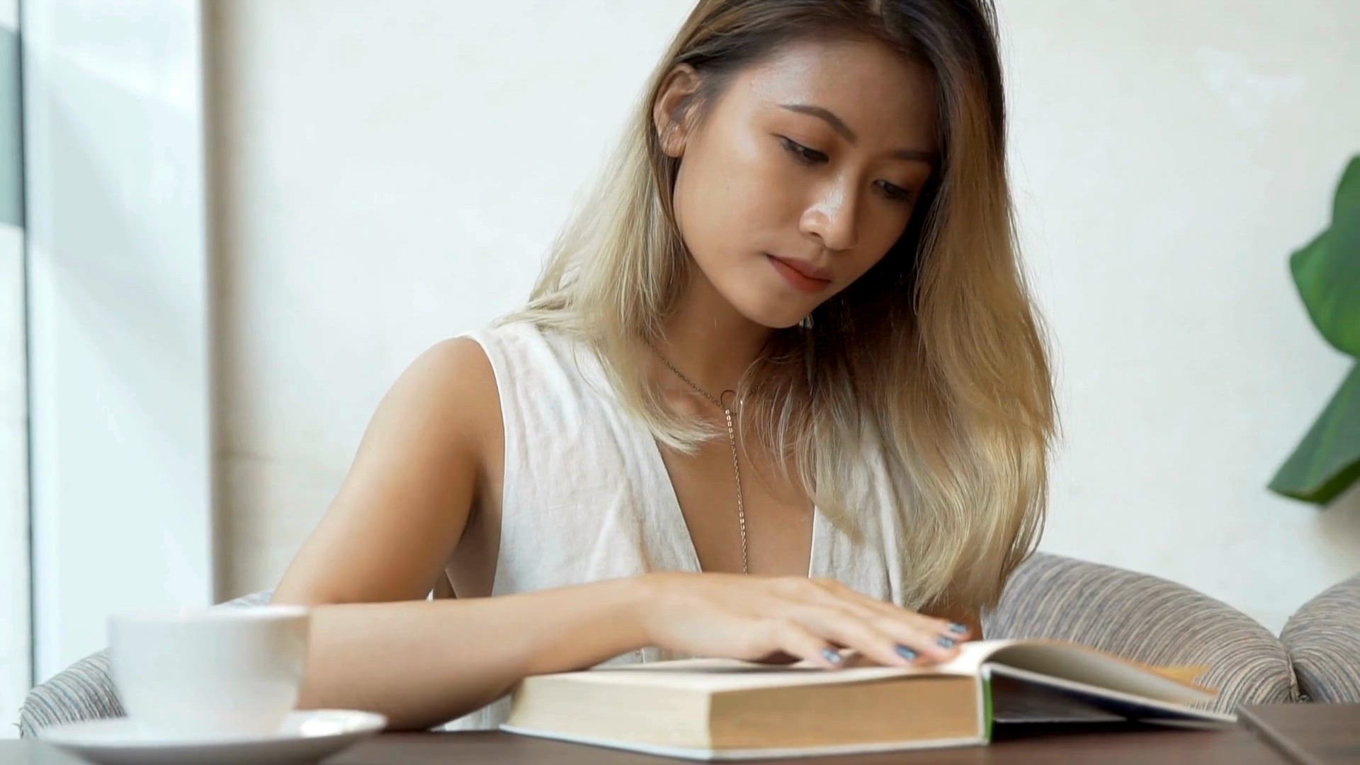 Video thumbnail for Dizionario Latino Italiano