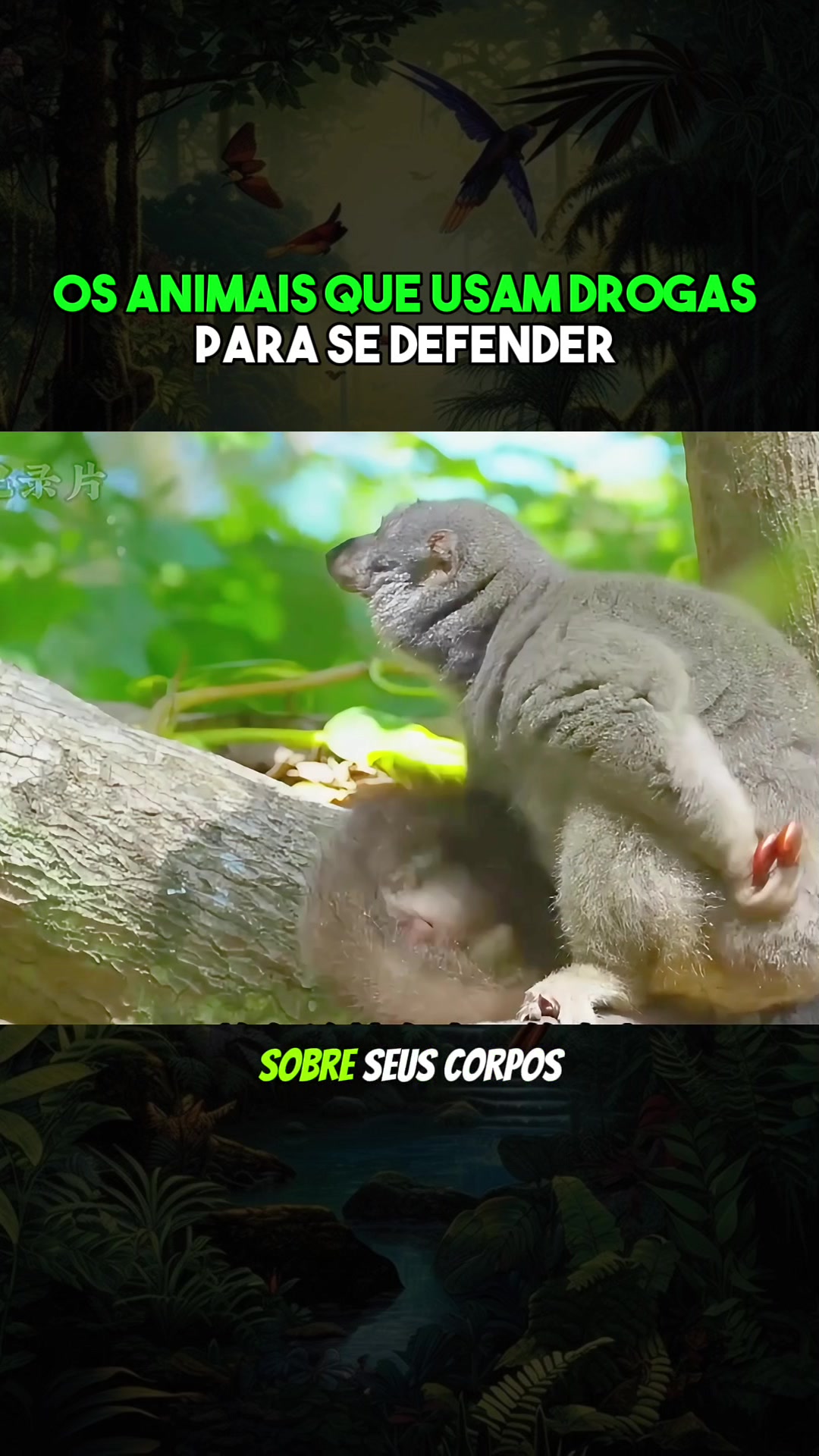 Video thumbnail for EXEMPLO EDUCAÇÃO