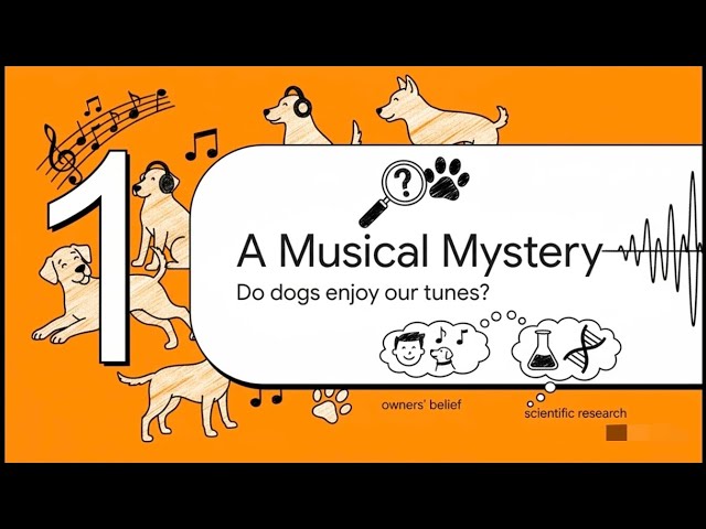 Video thumbnail for Do Dogs Like Music and Which Genres They Prefer?