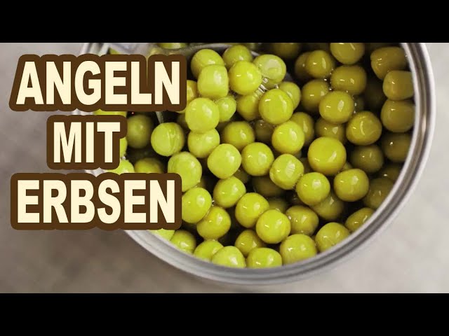 Video thumbnail for Angeln mit Erbsen: Fische, Montagen, Technik