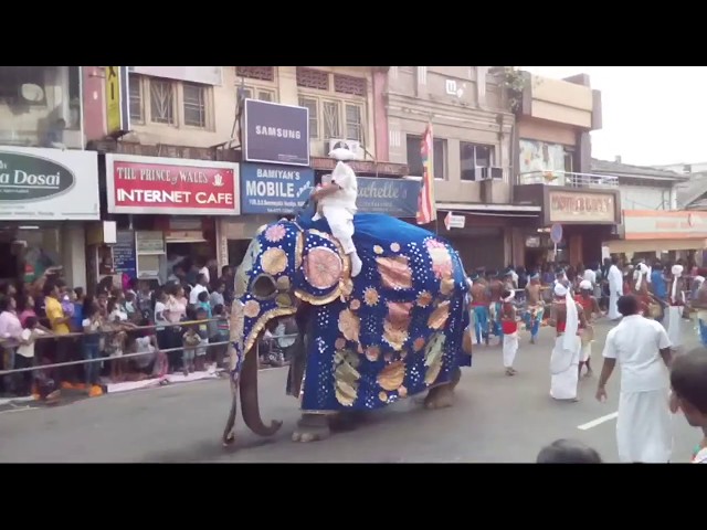 Video thumbnail for Dawal Peraha Live 2019