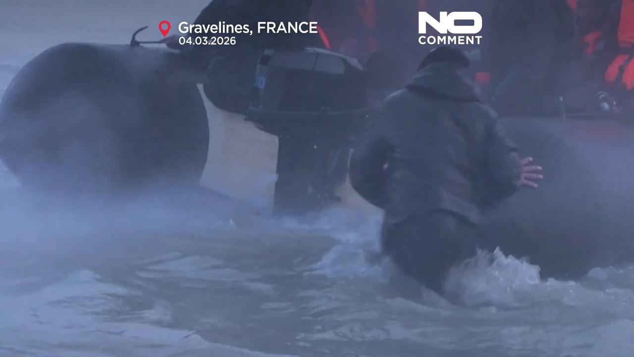 Video thumbnail for France: Over 250 migrants cross Channel to England as calm seas return