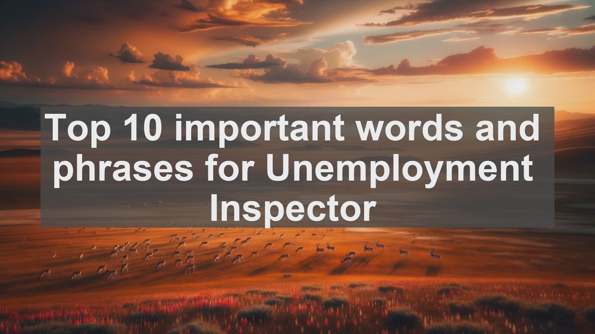 'Video thumbnail for Top 10 important words and phrases for Unemployment Inspector'