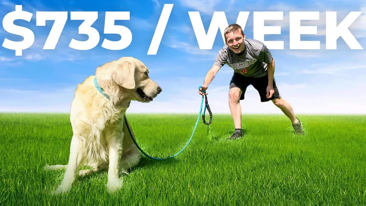 Video thumbnail for Financial Wolf: dog walking side hustle: my wag! app experience & earnings