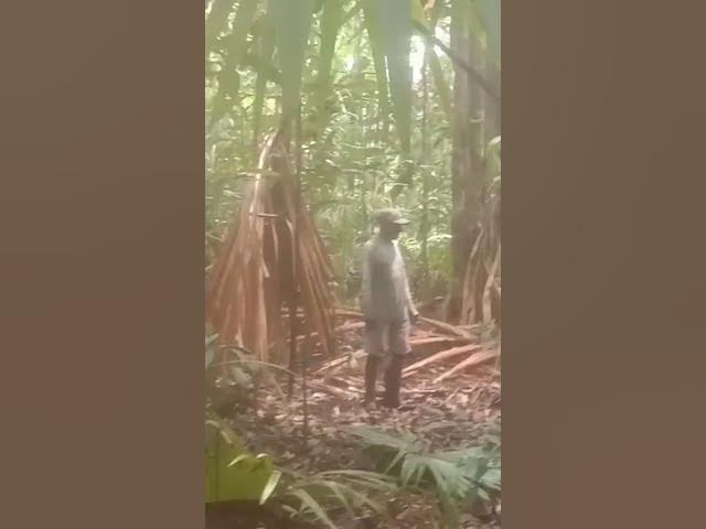 Video thumbnail for 25 Maret 2025