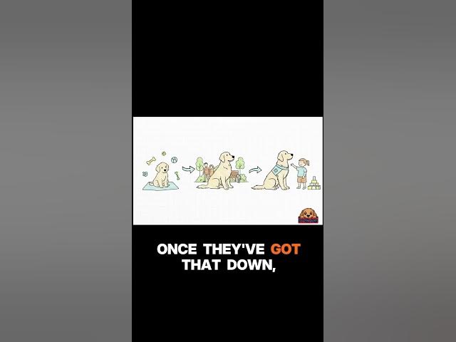 Video thumbnail for The two-year training truth #substack #shorts