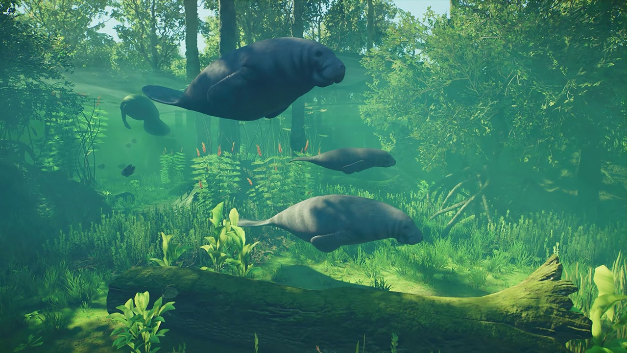 Video thumbnail for Planet Zoo 2 - Official Animal Spotlight: West Indian Manatee Trailer