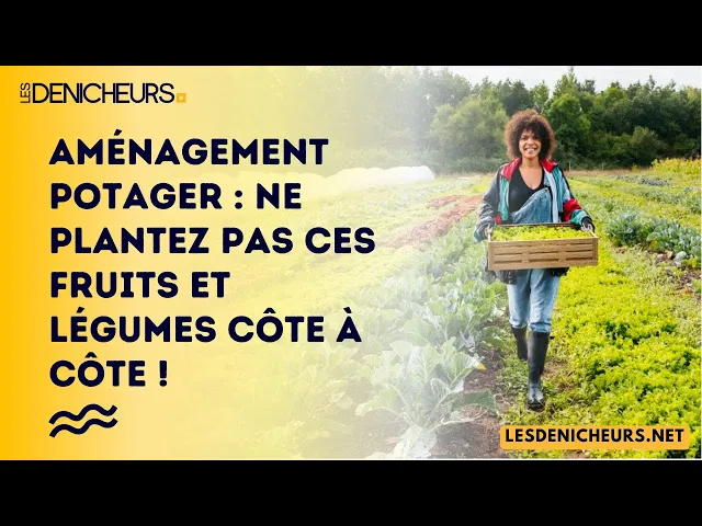 Video thumbnail for Aménagement potager : ne plantez pas ces fruits et légumes côte à côte !