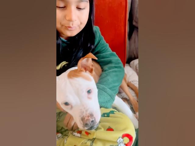 Video thumbnail for A normal day while our kids learn about Alaska ! #dogs #rescue #love #family #jesus