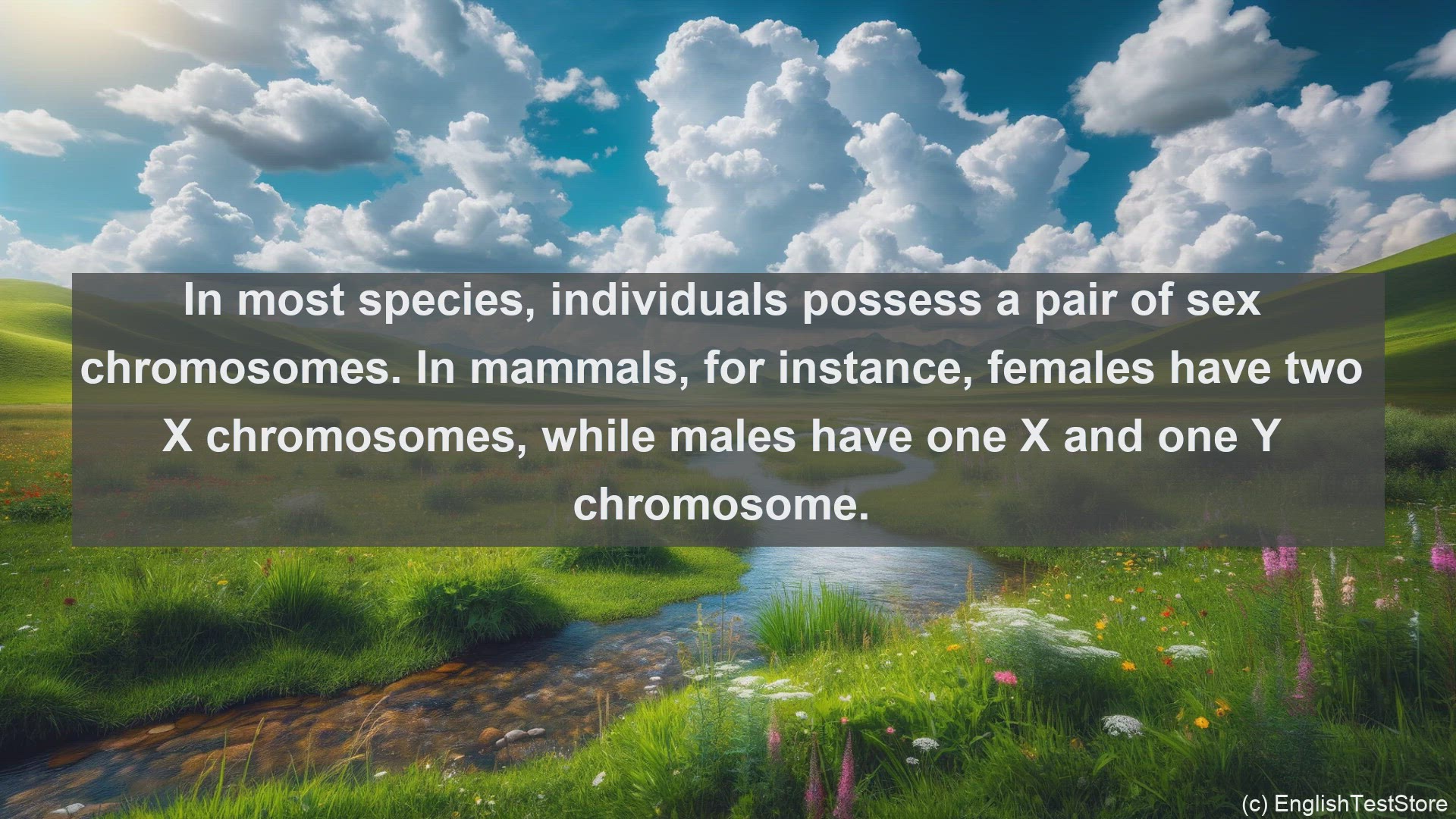 'Video thumbnail for Heterogametic sex in science  definition and examples'