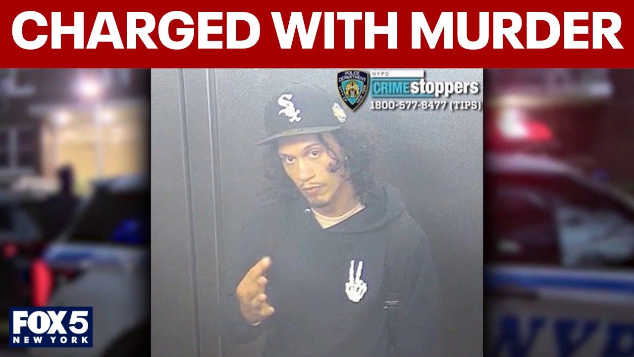 Video thumbnail for Bronx man charged after woman, baby pushed off 15th-floor balcony, NYPD says