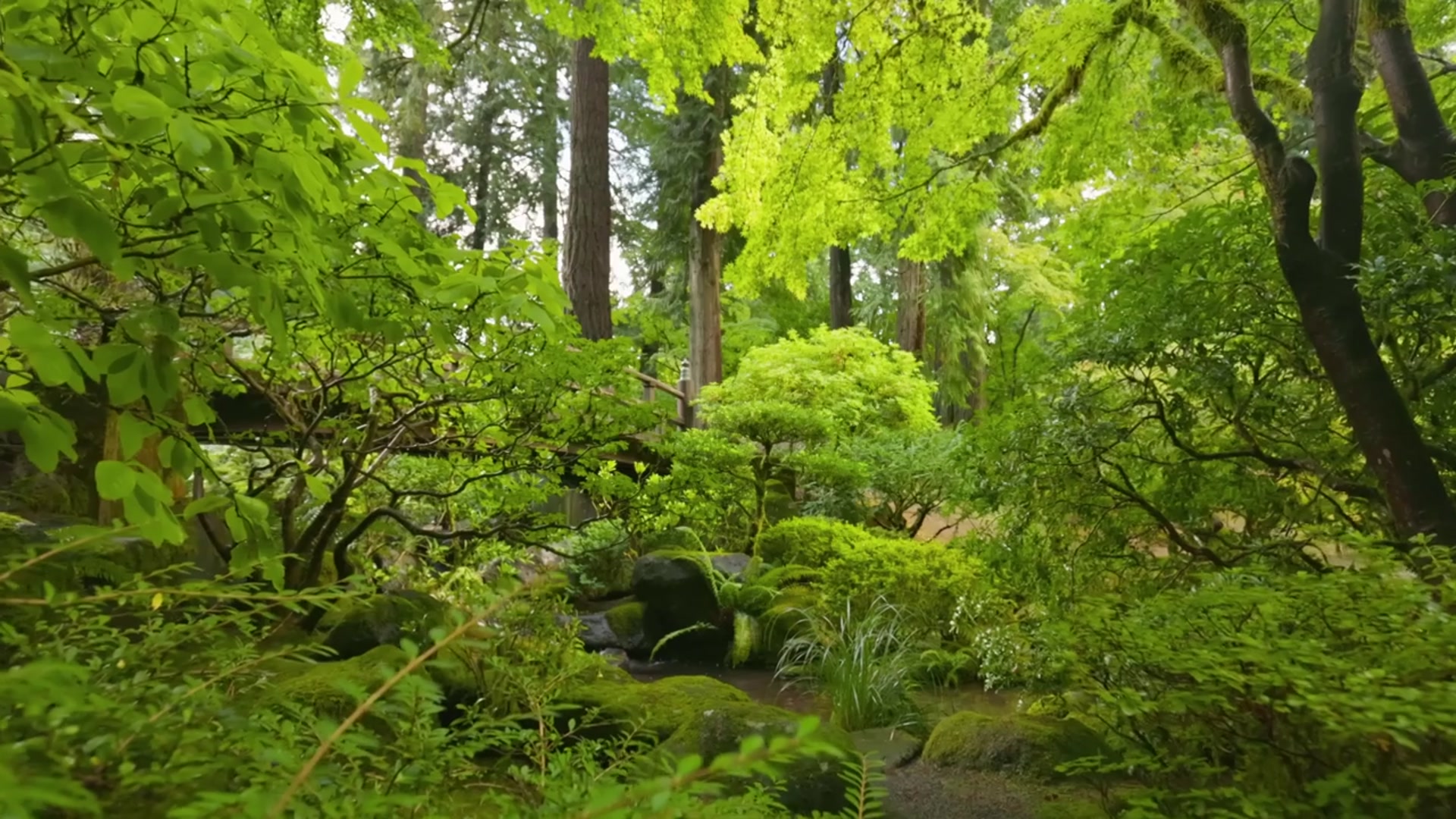 'Video thumbnail for Portland, Oregon is a WAR ZONE and unlivable! Really?'