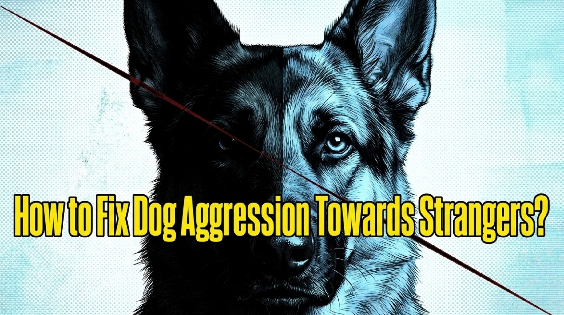 Video thumbnail for How to Fix Dog Aggression Towards Strangers?