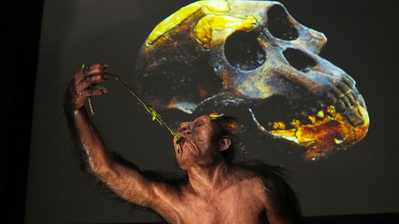 'Video thumbnail for Lucy and Selam fossils go on display in Europe for the first time'
