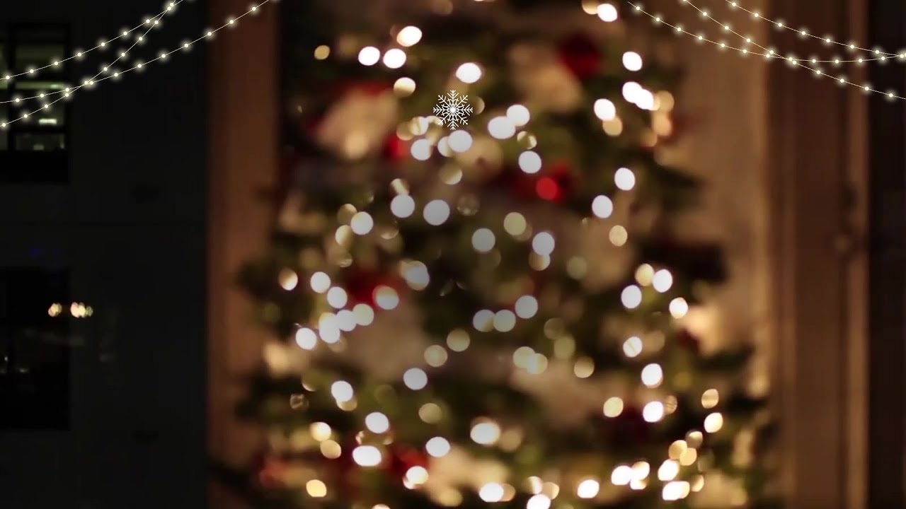 'Video thumbnail for ¿Dónde colocar el árbol de navidad? video blog'